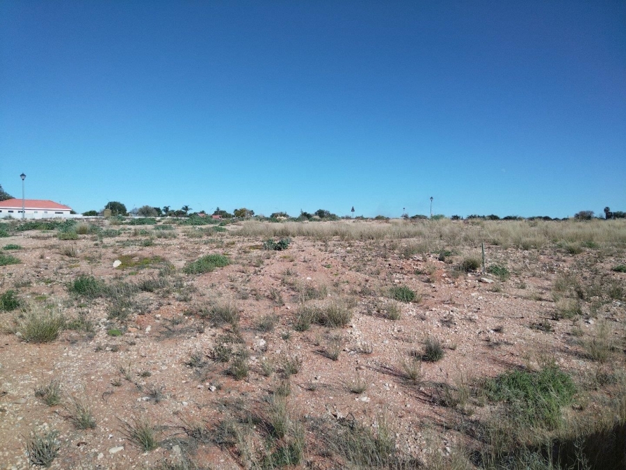 0 Bedroom Property for Sale in Blydeville Northern Cape